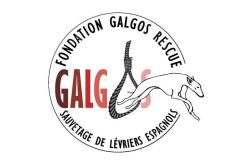 Fondation Galgos Rescue